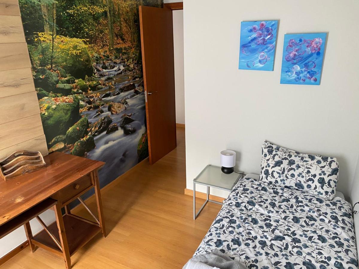 Duplex Roca Del Sucut Lejlighed Ribes De Freser Eksteriør billede